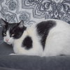 Holly - Photo 3