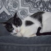 Holly - Photo 4