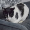 Holly - Photo 5