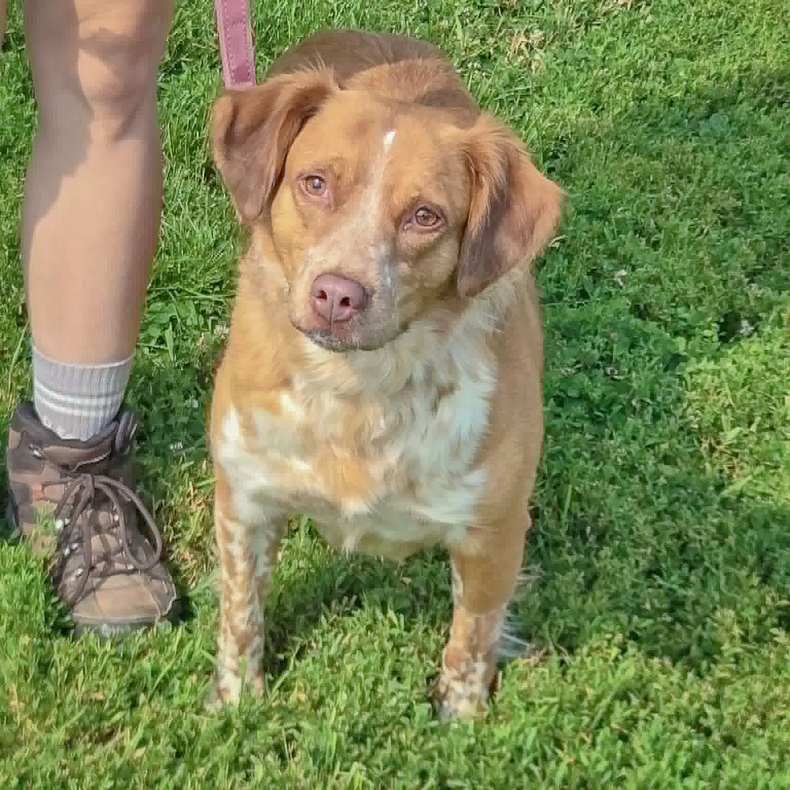 Shiloh image 2
