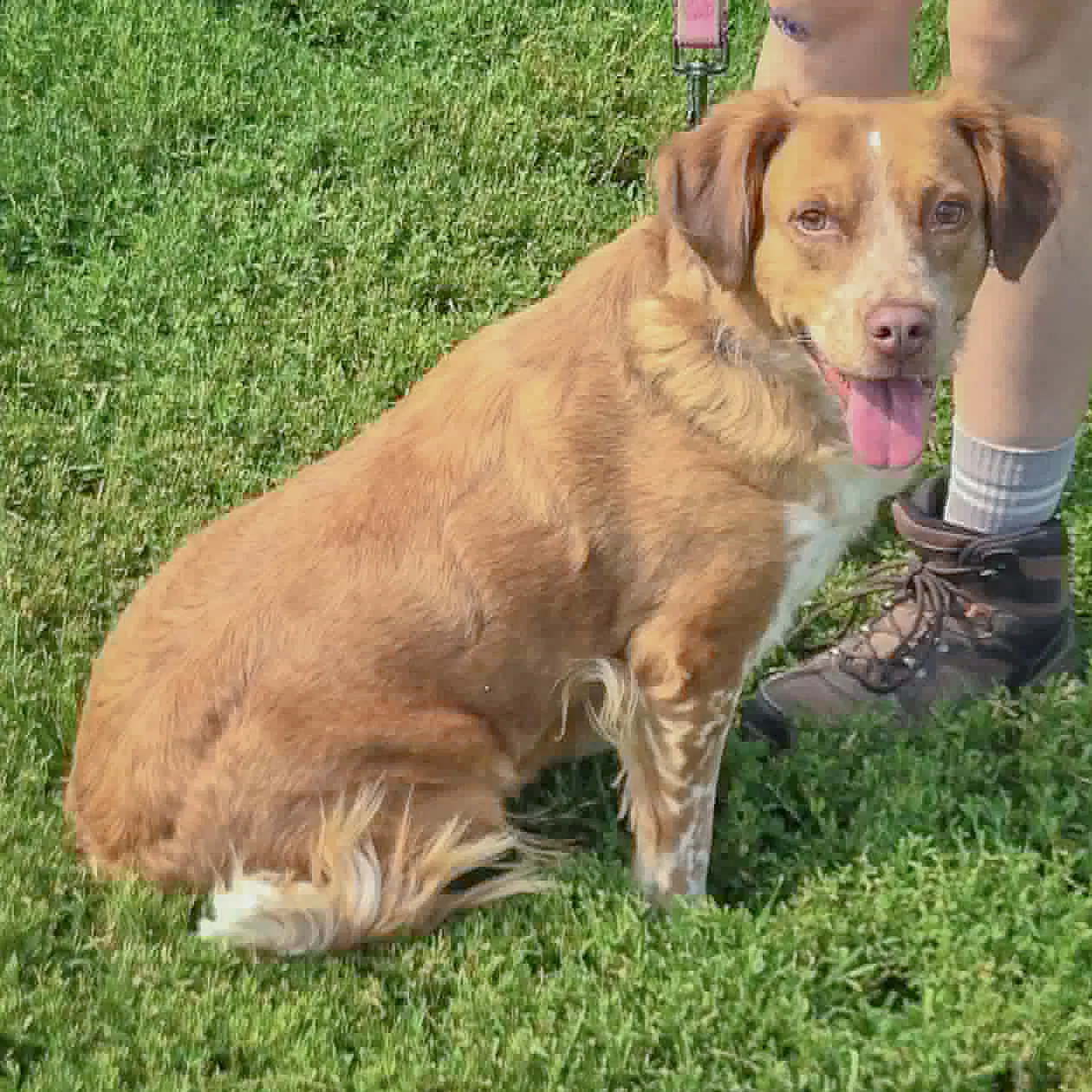Shiloh image 4