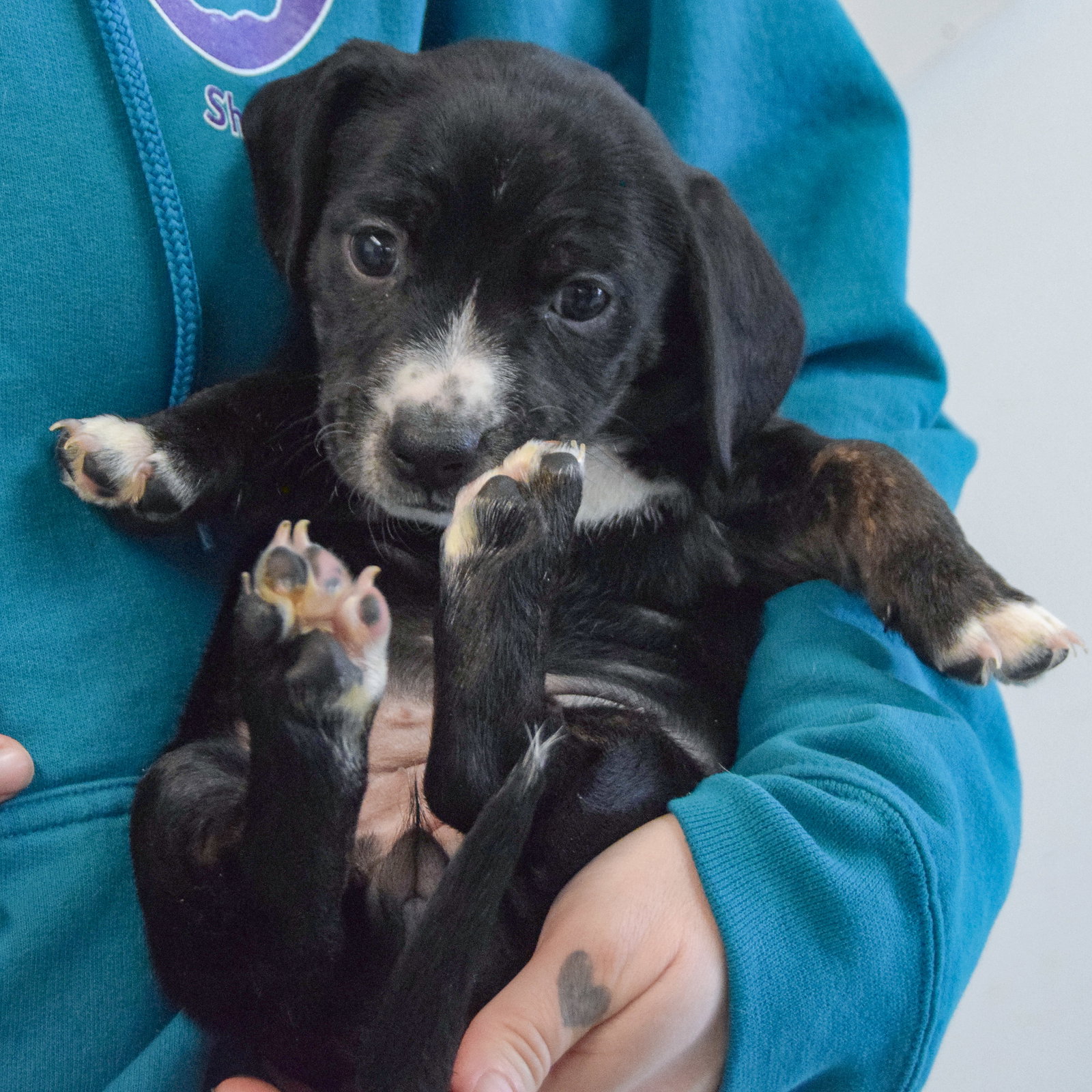 Thumbnail