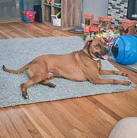 Bubba photo 6