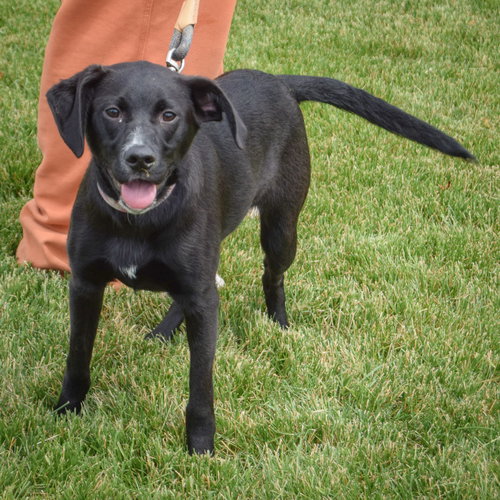Libby photo 3