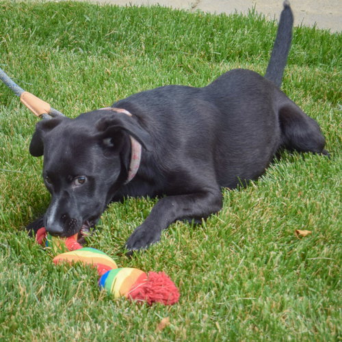 Libby photo 6