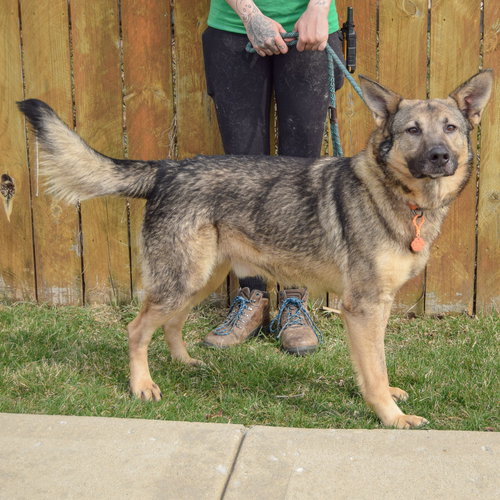 Photo 2 of Kash
