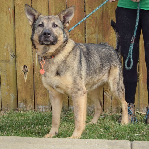 Photo 3 of Kash