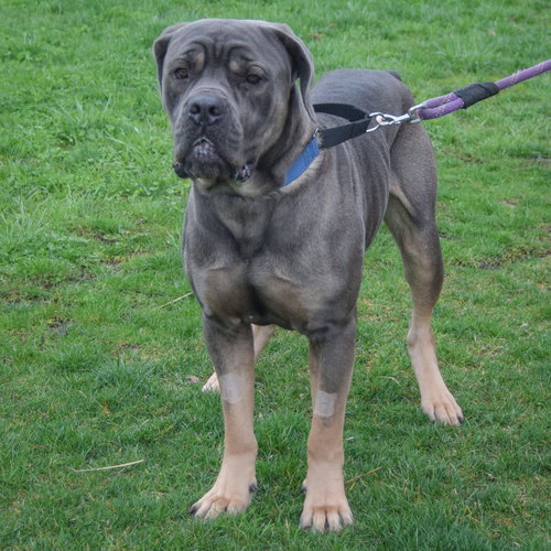 Otis photo 5