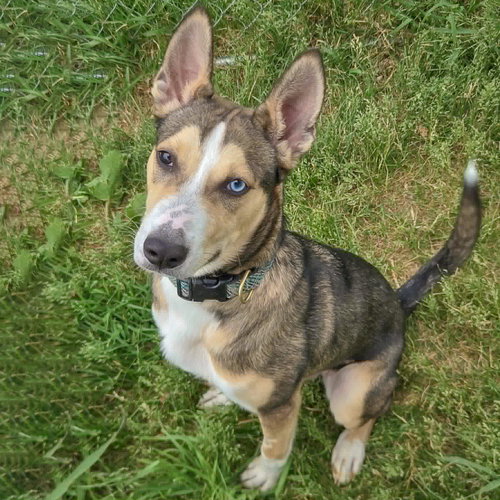 Marley photo 2