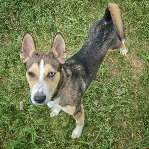 Marley photo 3