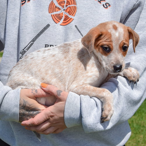 Maggie photo 2