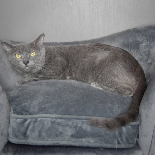 Junipurr photo 8