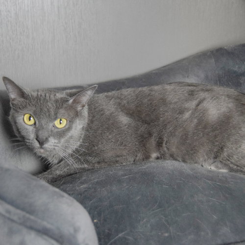 Junipurr photo 9