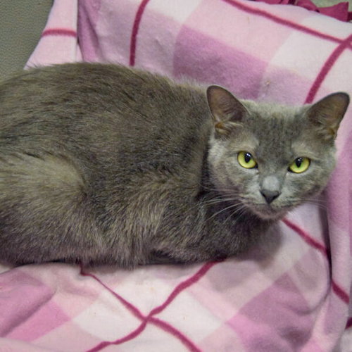 Junipurr photo 3
