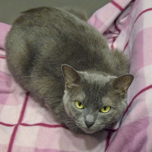 Junipurr photo 5