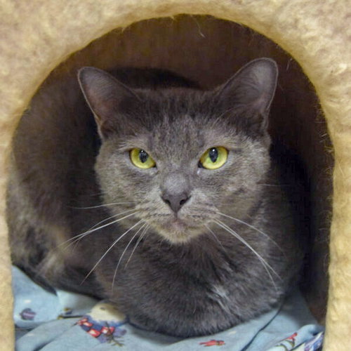 Junipurr photo 6