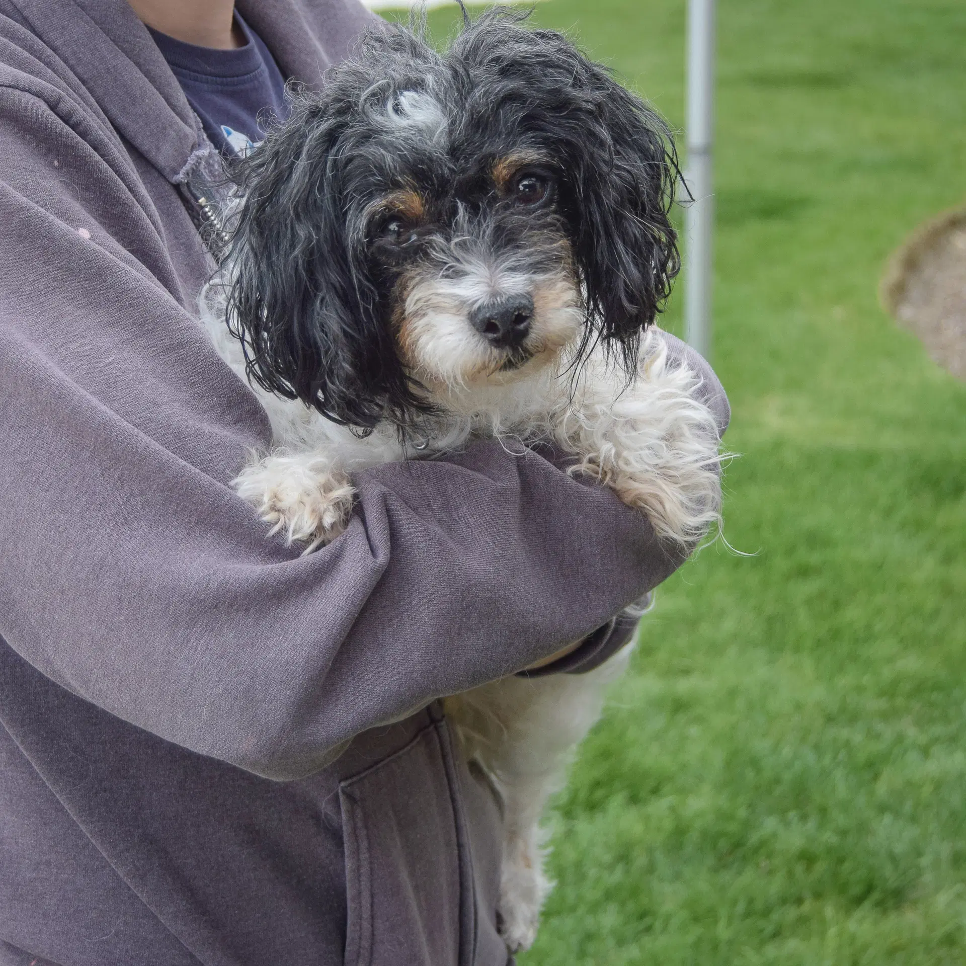 Luna Loo image 3