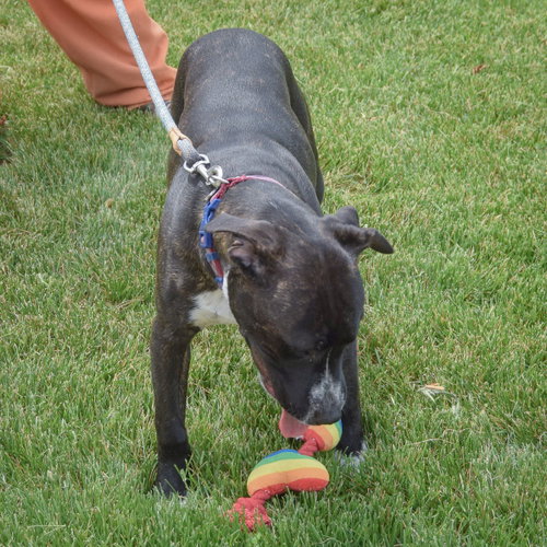 Tatum photo 6