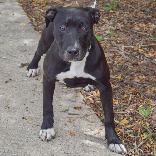 Tessa photo 3
