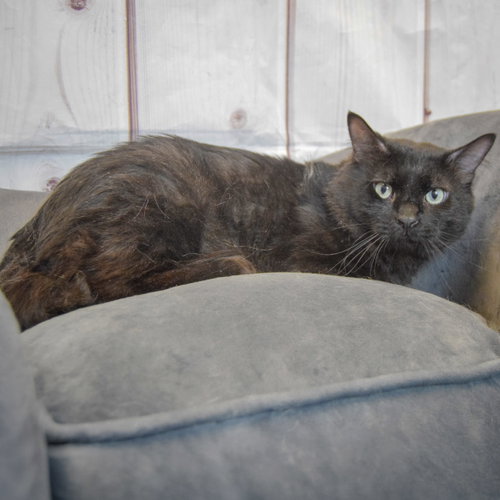 Photo 5 of Malachi