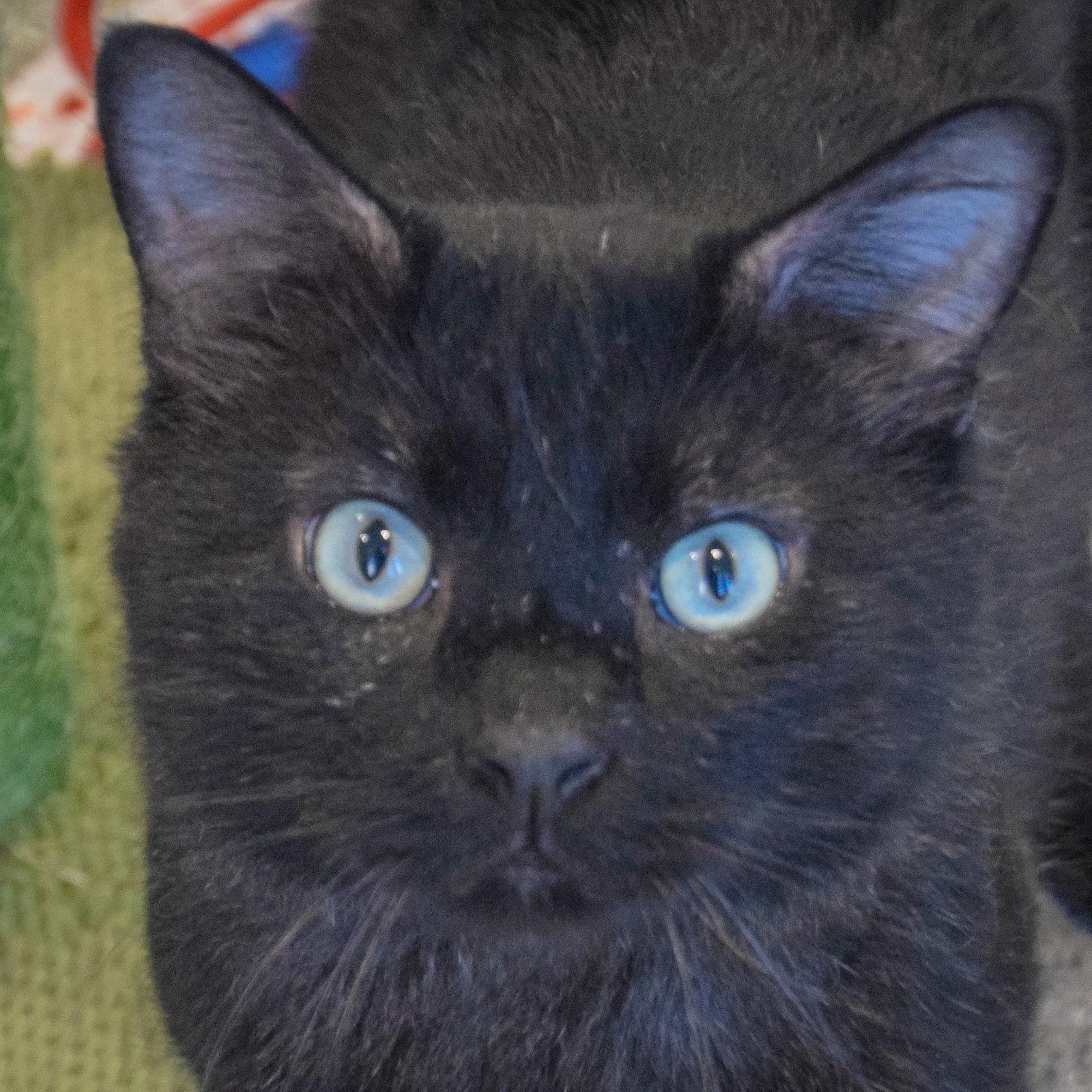 Malachi