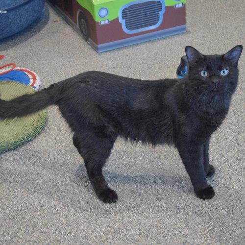 Photo 2 of Malachi
