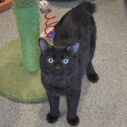 Photo 3 of Malachi