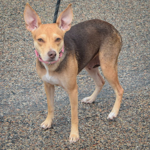 Wilma photo 2