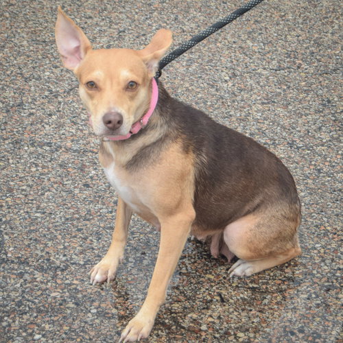 Wilma photo 3