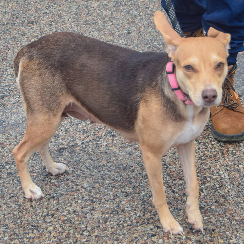 Wilma photo 4