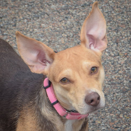 Wilma photo 5