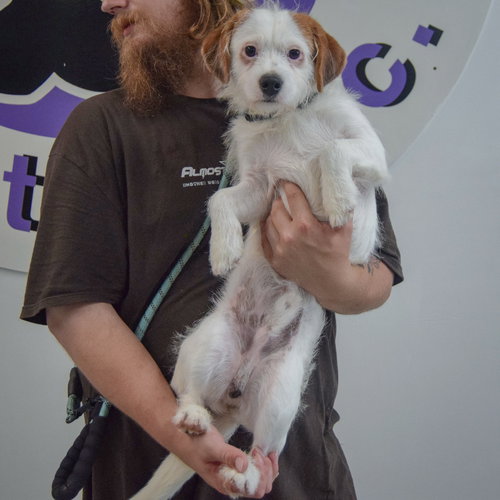 Buddy photo 4
