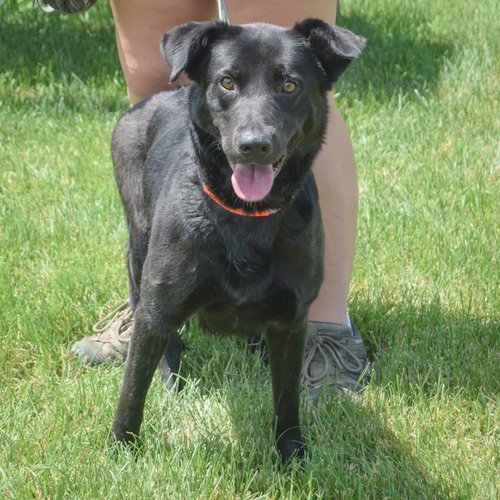 Sadie photo 3