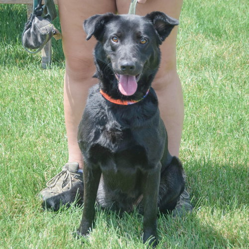 Sadie photo 4