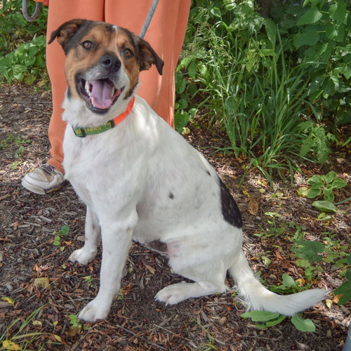 Winston photo 3