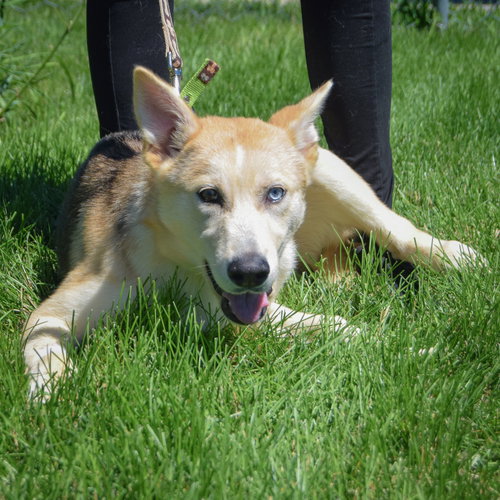 Stripe photo 5