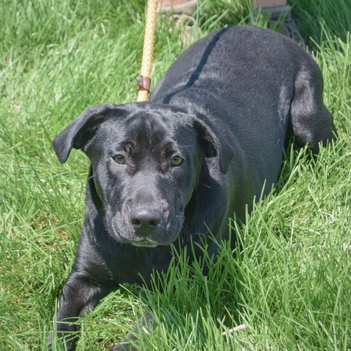 Rudy photo 4