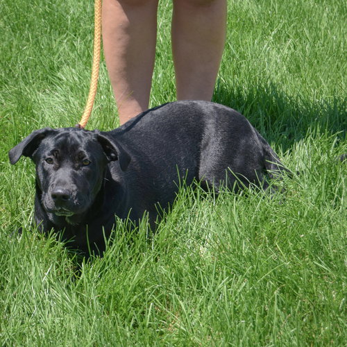 Rudy photo 5
