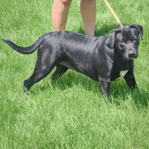 Xena photo 2