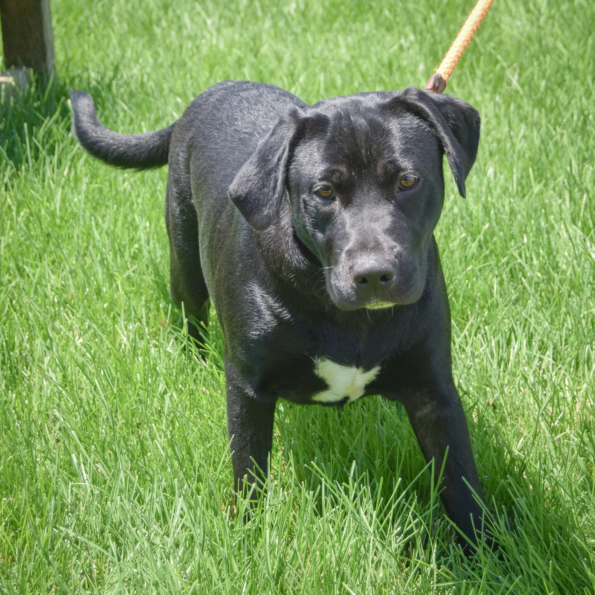 Xena image 3