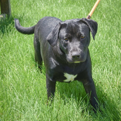 Xena photo 3