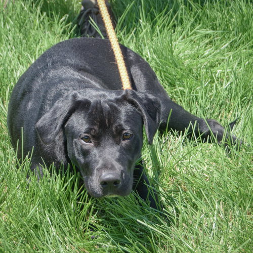 Xena photo 4