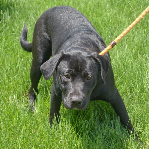 Xena photo 5