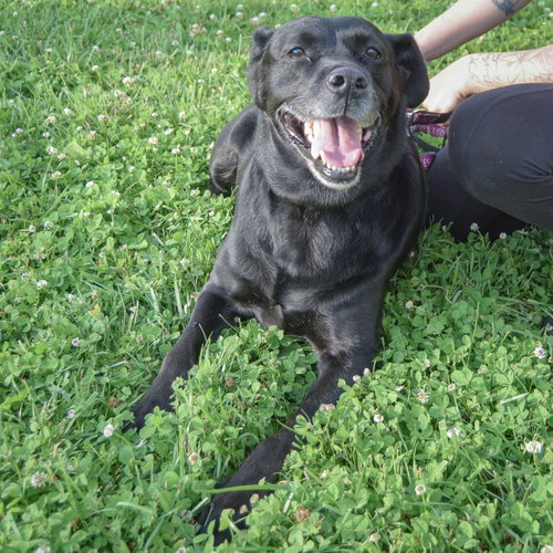 Mia photo 4