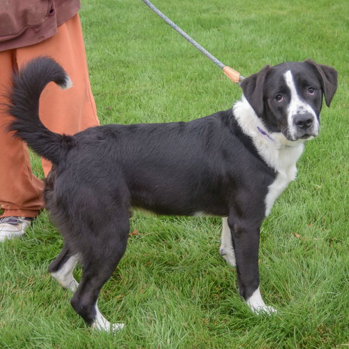 Benny photo 2