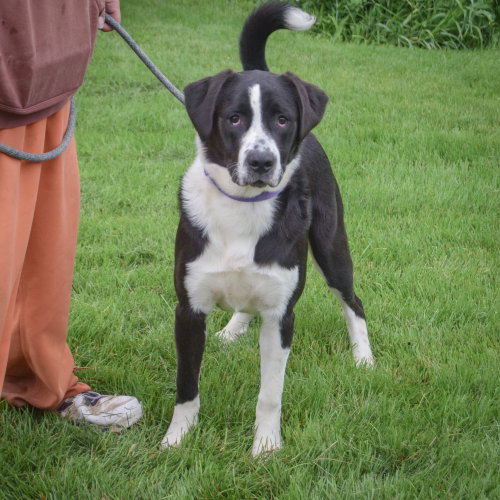 Benny photo 4
