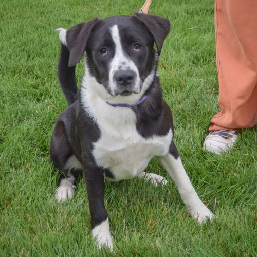 Benny photo 5