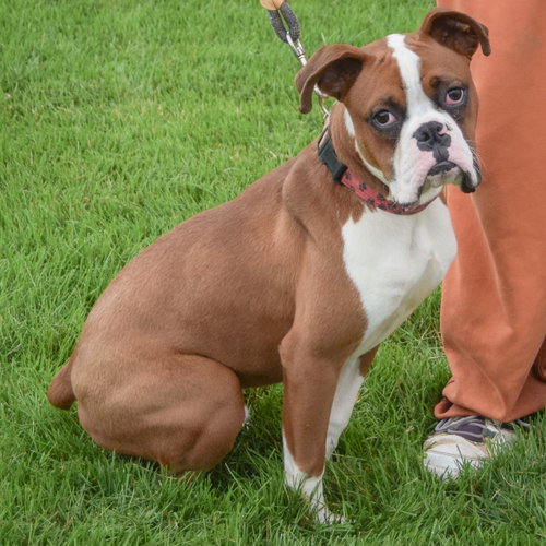 Hank photo 3