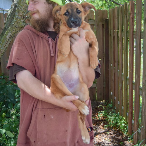 Tuffy photo 4
