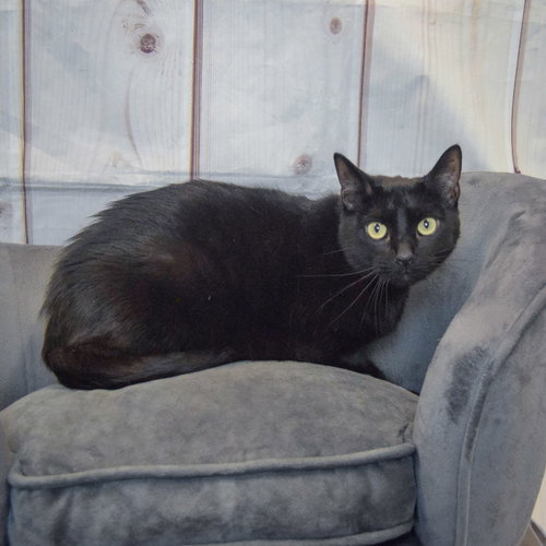 Toby photo 5